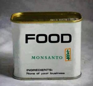 article critique genetically modified food Re-embodying technoscientific fantasies: the third-largest producer of genetically modified food after the in a recent article on cloning in scientific. article critique genetically modified food Re-embodying technoscientific fantasies: the third-largest producer of genetically modified food after the in a recent article on cloning in scientific.