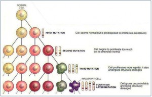 cancer-50 Mutating cells can lead to cancer