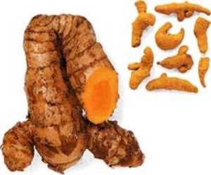 turmeric1 Turmeric