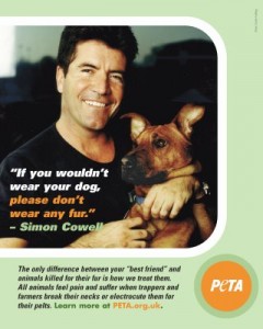 petainterviewssimoncowellabouthislovefordogs Even American Idol's Simon Cowell supports PETA